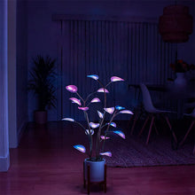 Load image into Gallery viewer, Bonsai Plant Lamp LED Decor