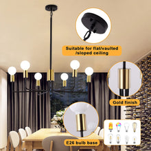 Load image into Gallery viewer, Farmhouse Chandelier Light Fixture 6-Light Black and Gold Chandeliers Hanging Adjustable 30In