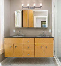 Load image into Gallery viewer,  Brushed Nickel Finish 4 Light Dual Glass Shade
