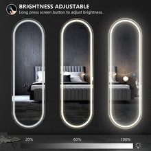 Load image into Gallery viewer, Smart Touch Oval LED Lights, 47&quot;X14.5&quot; Full Body Lighted, Wall Mounted/Over the Door Arched, Hanging Mirror 
